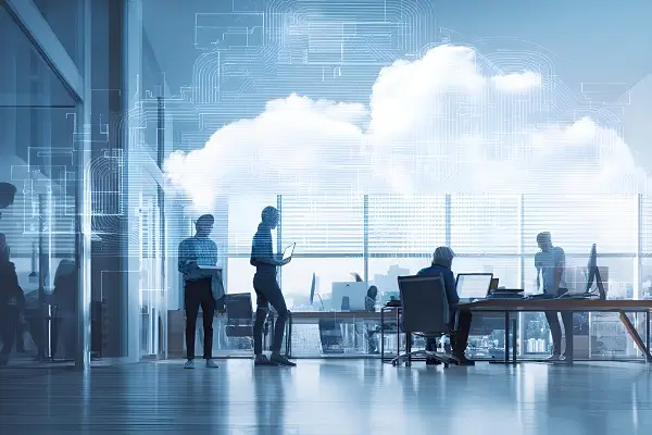 济南大学王晓波简介