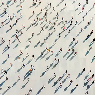 复旦大学管鹏飞简介