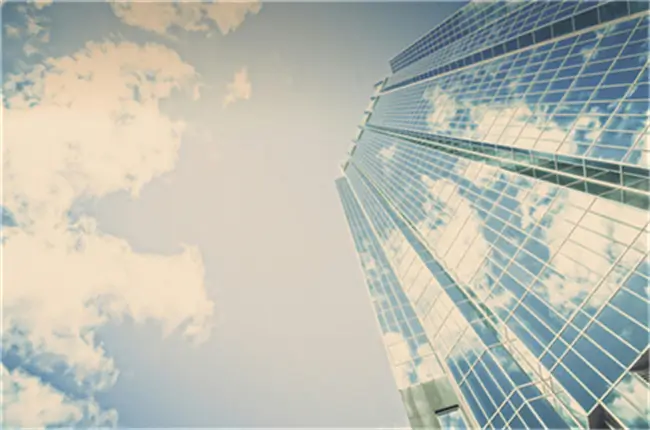 大学教授王琳简介